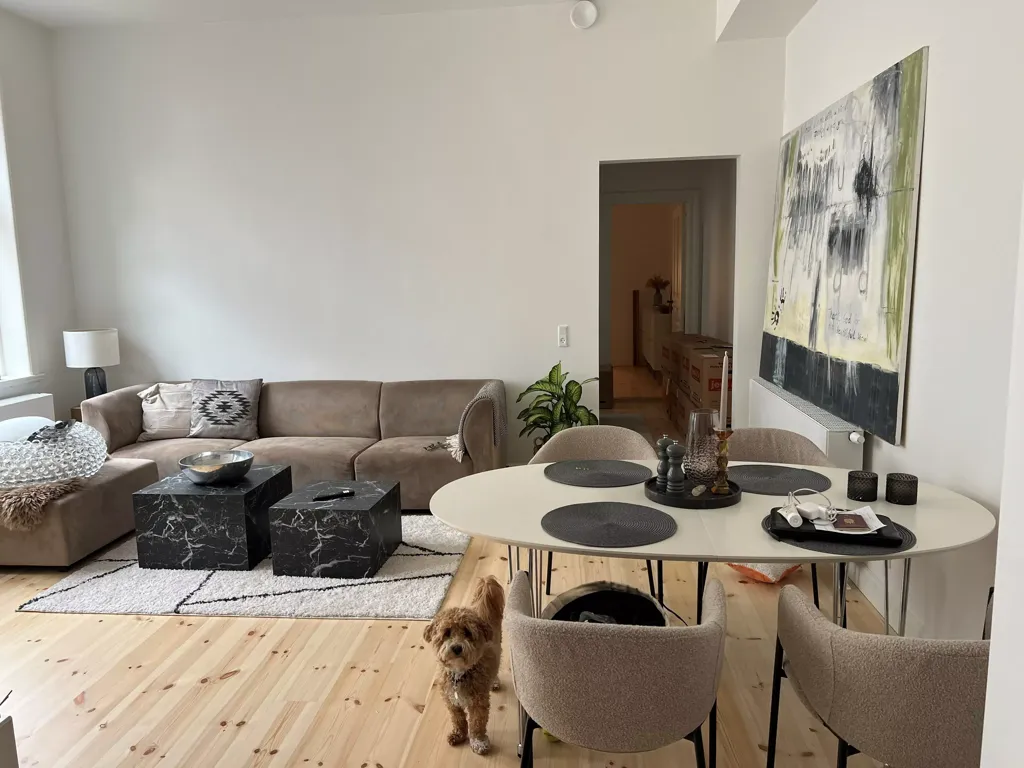 Séjour - Spacious 2-Bedroom Apartment in Aarhus C