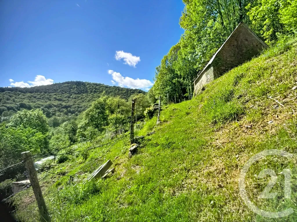 Jardin - Maison en Pierre avec Terrain à Aleu