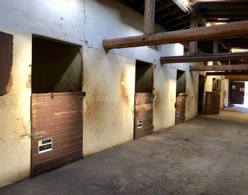 Pièces - Propriété Équestre avec Manège à Thonon-les-Bains