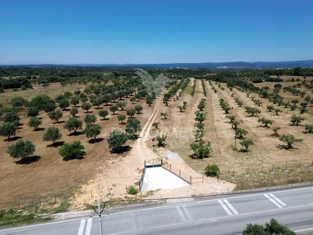 Vue aérienne - Rural Quinta with Olive Grove in Vaqueiros