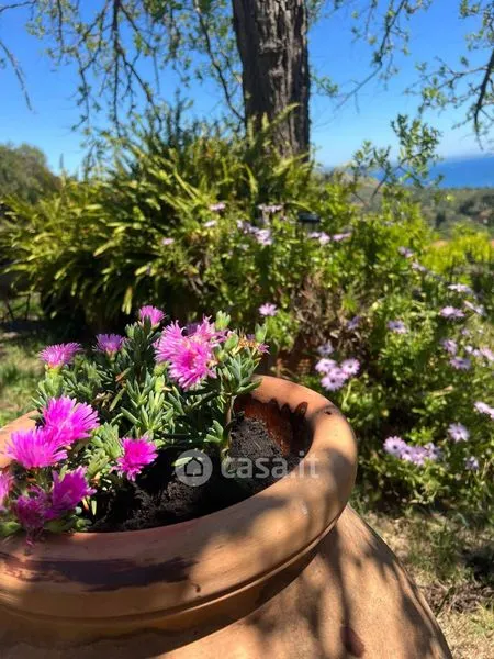 Jardin - Villa with Sea View in Monte Argentario