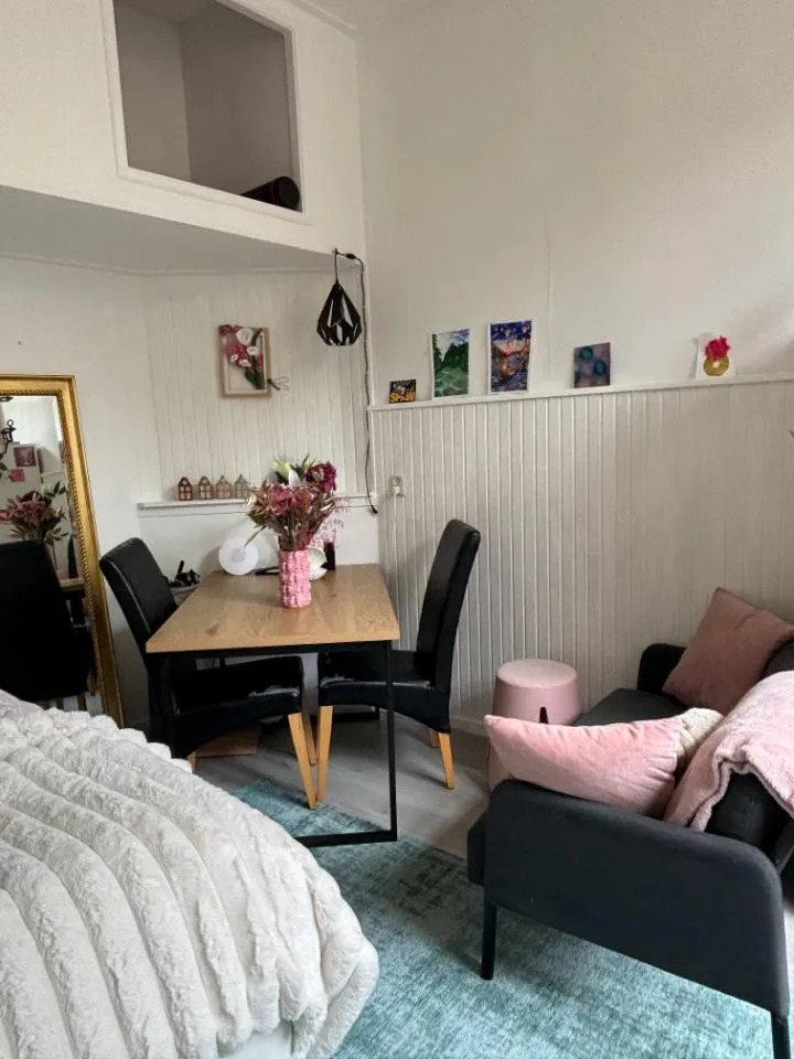 Magamistoad - Student Room with Private Kitchen in Leeuwarden