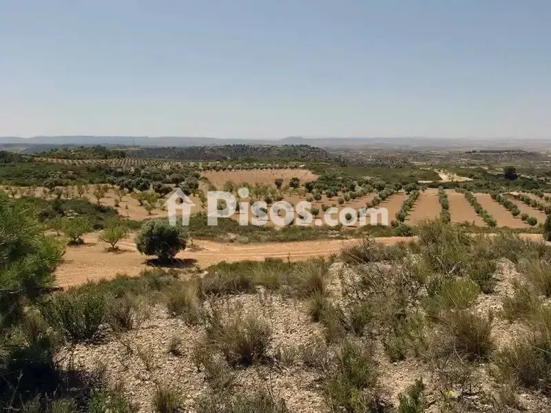 Rustic Hunting Estate in Alcañiz