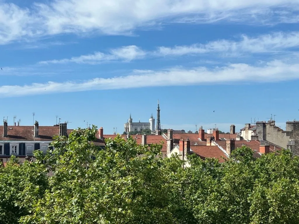 Balcone - Luxury Penthouse with Rooftop in Lyon 4ème