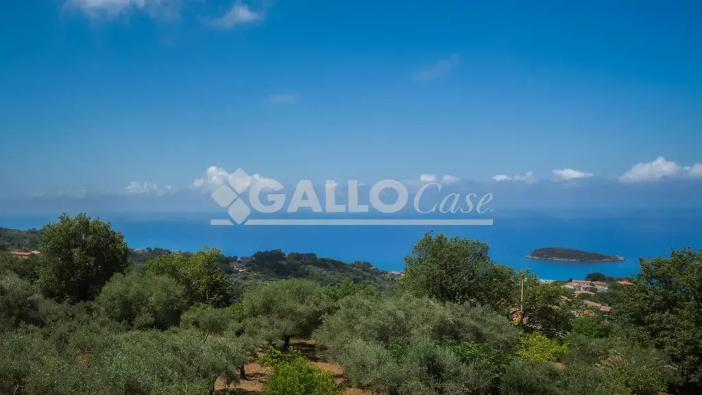 Aed - Villa with Sea View in Diamante