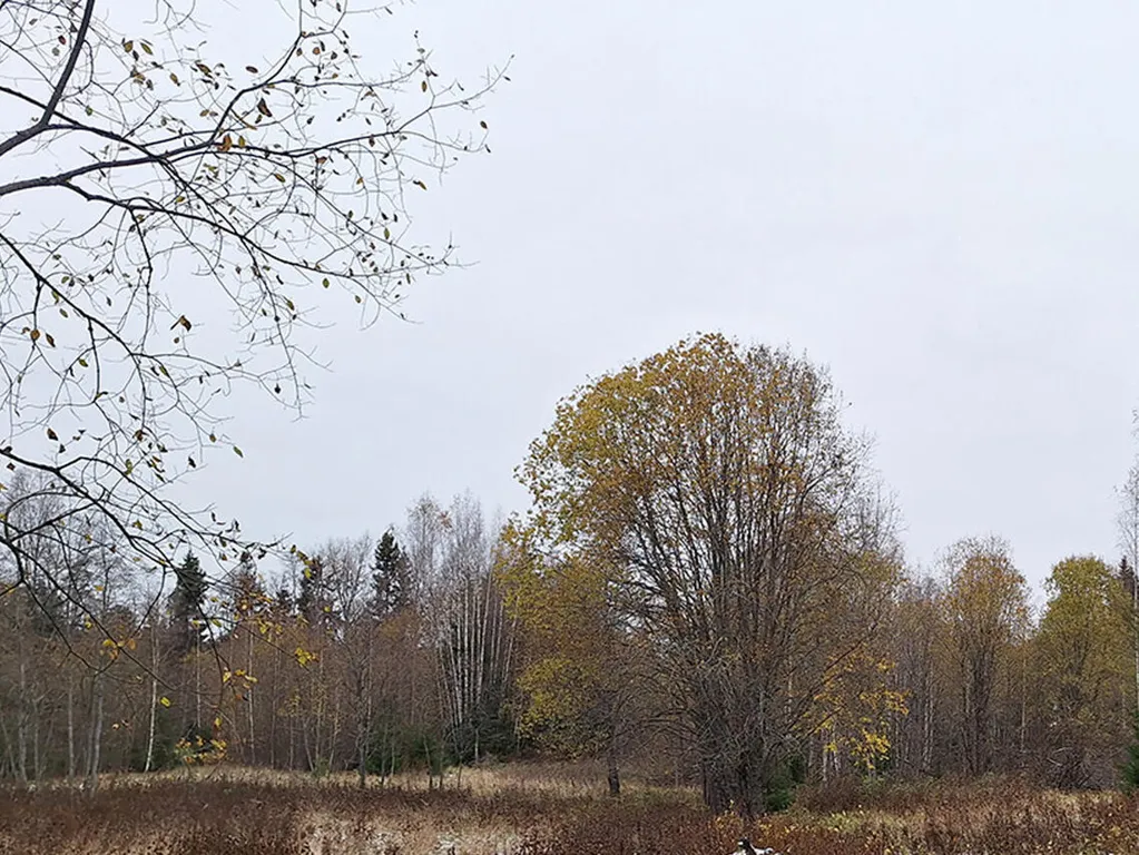 land_plot