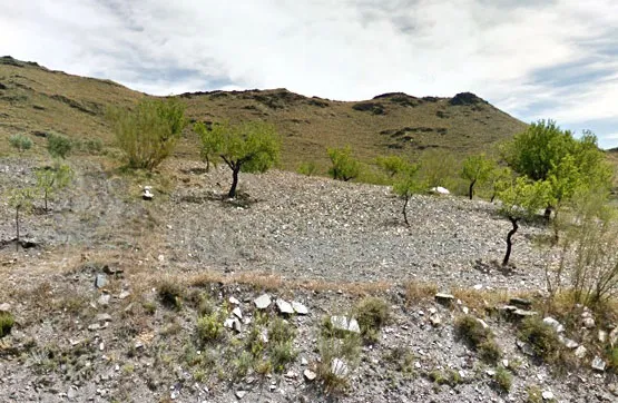 Giardino - Land Parcel in Senés, Almería