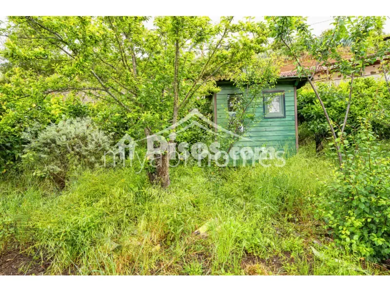 Jardin - Rustic House with Orchard in Doramas Park