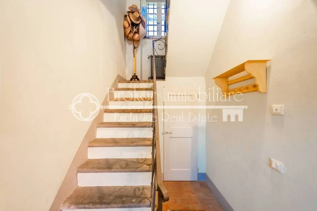 Rooms - Rustic Villa with Olive Grove in Massarosa