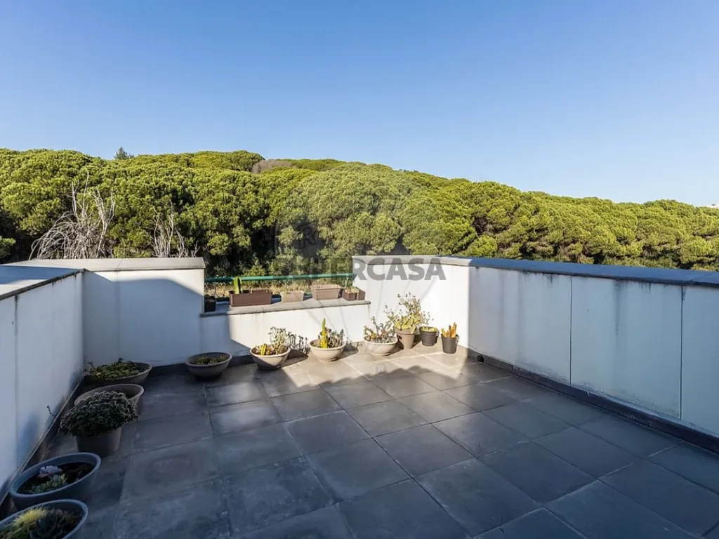 Terrass - Luxury Villa with 1950s Charm in Lisbon