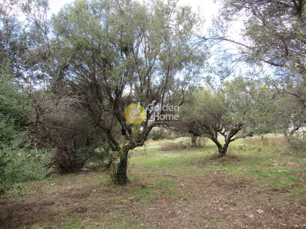Jardin - Plot with Panoramic View in Patras-Karyes