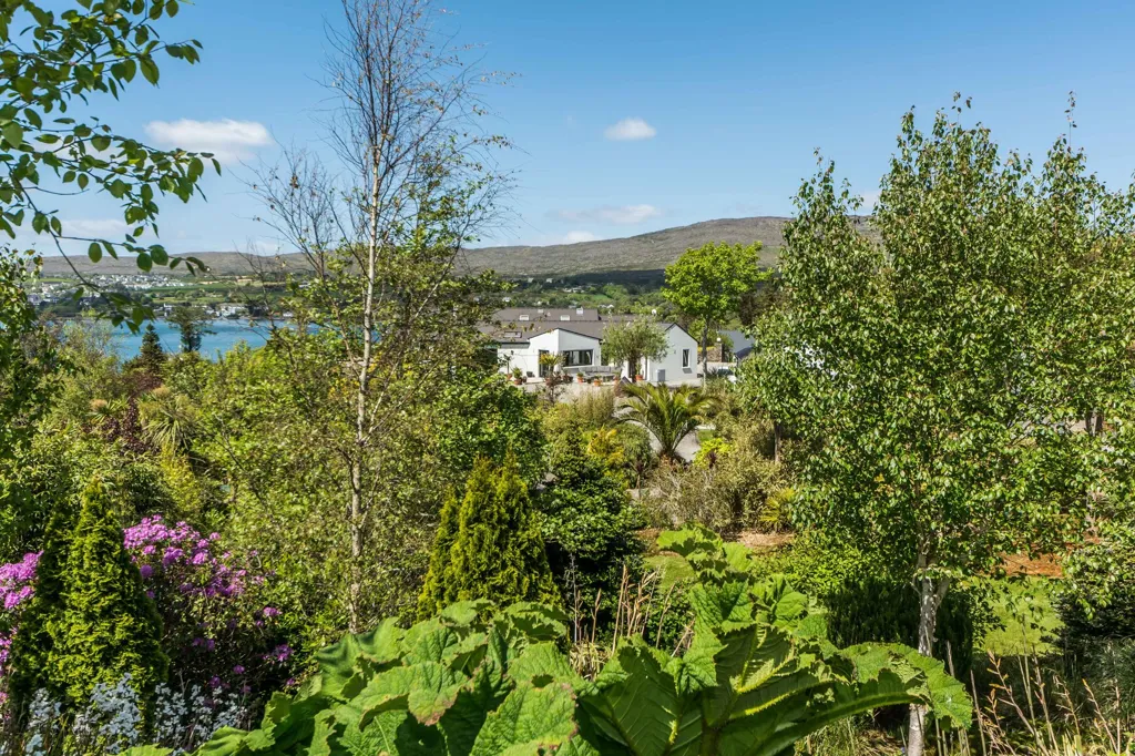 Jardin - Maison 4 chambres à Schull