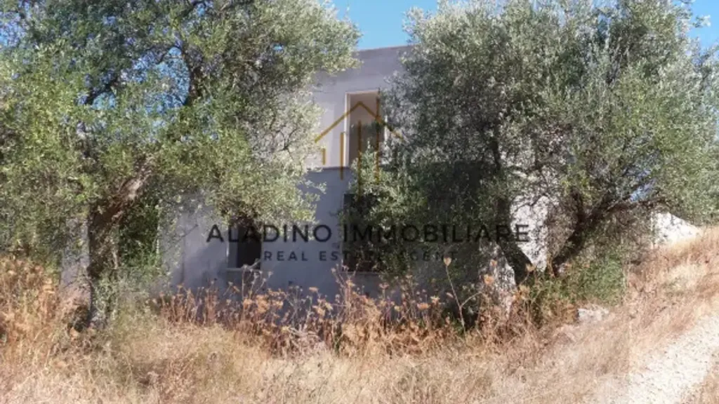 Välivaade - Rustic Villa with Olive Grove in Trani