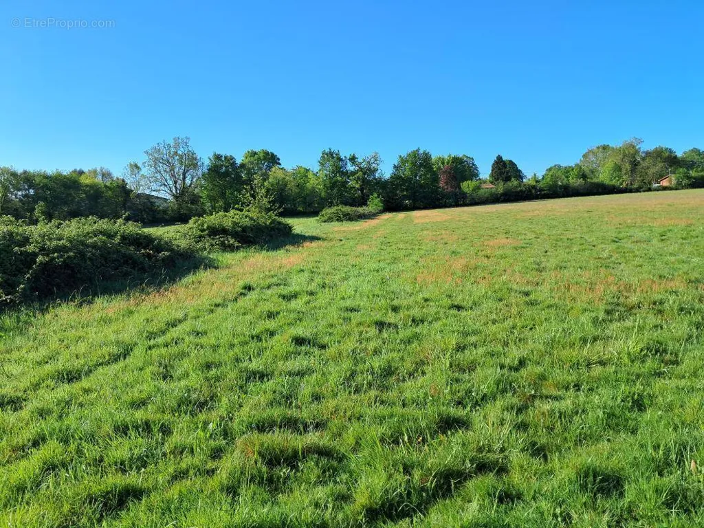Jardin - Terrain à Bonnetan pour Construction sur Mesure