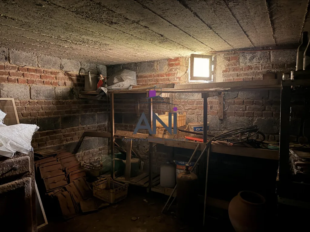 cellar