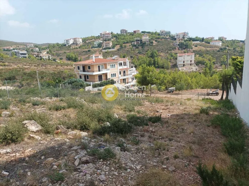 Jardin - Plot with Sea and Mountain View in Damasari