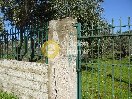 Aed - Agricultural Plot with Olive Trees in Korythio