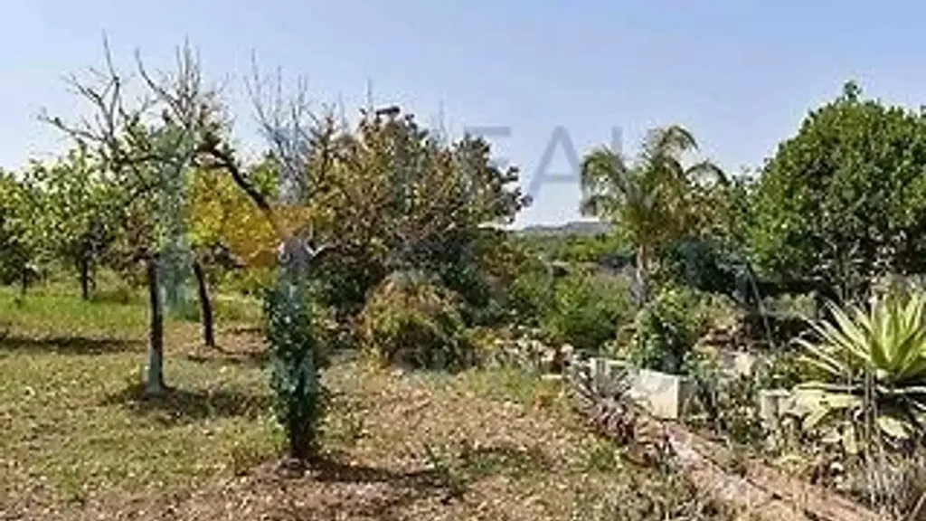 Jardin - Villa with Lemon Grove near Noto