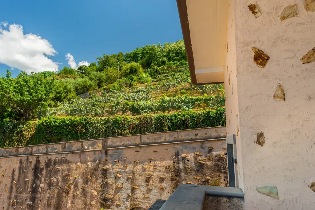 Rõdu - Villa with Pool and Panoramic Views in Forte Dei Marmi