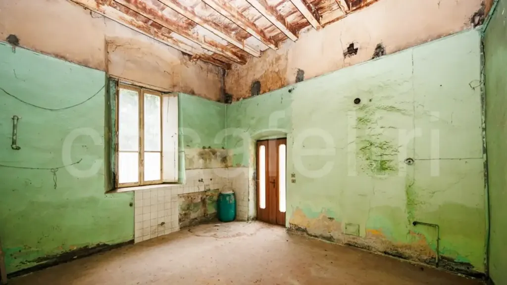 Toad - Historic Villa for Renovation in Stezzano