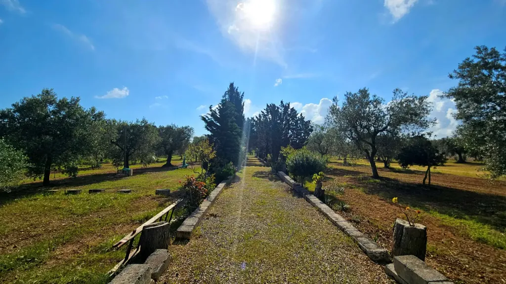 Jardin - Villa with Olive Grove near Carovigno