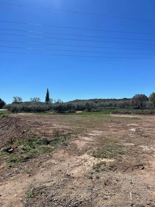 Jardin - Rustic Cottage with Olive Grove on Tafallafitero Road