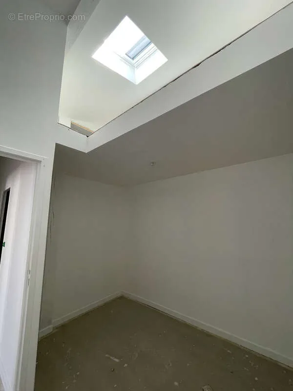 Toad - Duplex with Potential in Bordeaux