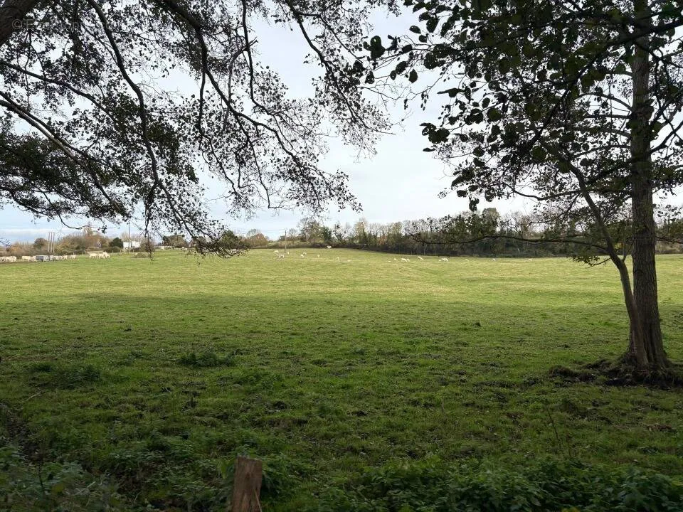 Jardin - Terrain à Construire avec Jardin à Villers-sur-Mer