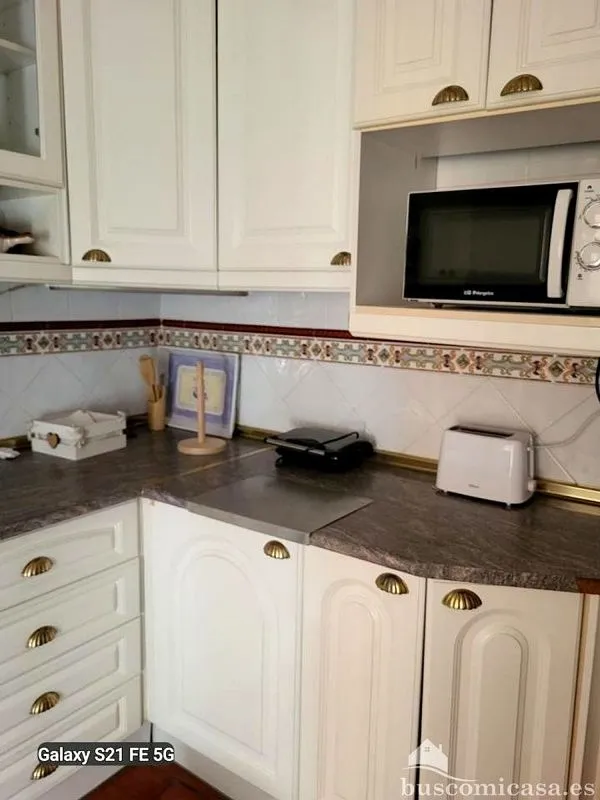 Cuisine - Furnished Flat with Terrace in Linares