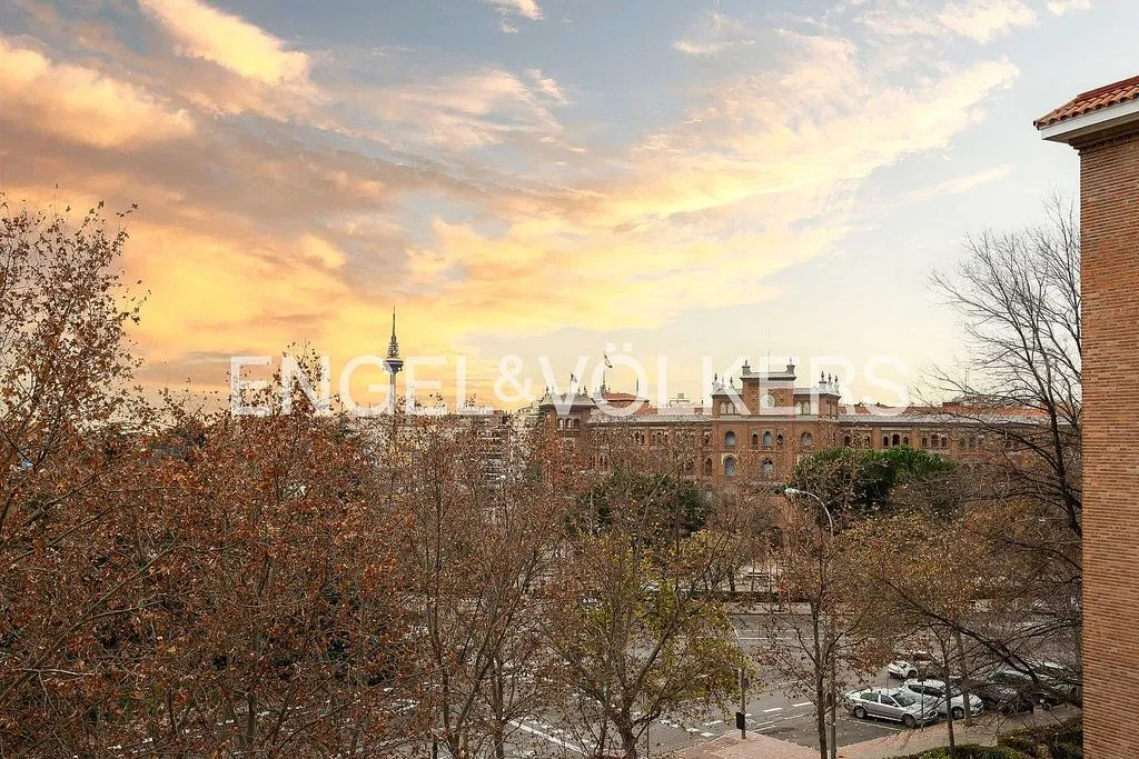 Balcone - Penthouse with Pool in Guindalera, Madrid