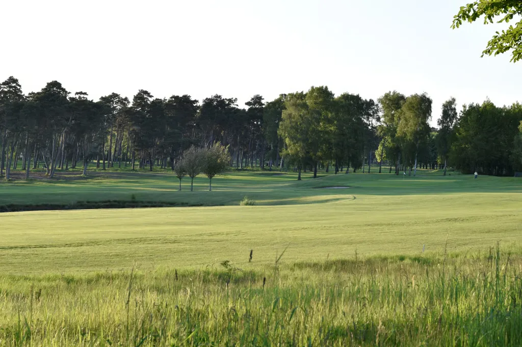 Aed - Three Plots with Nature Near Hofterup
