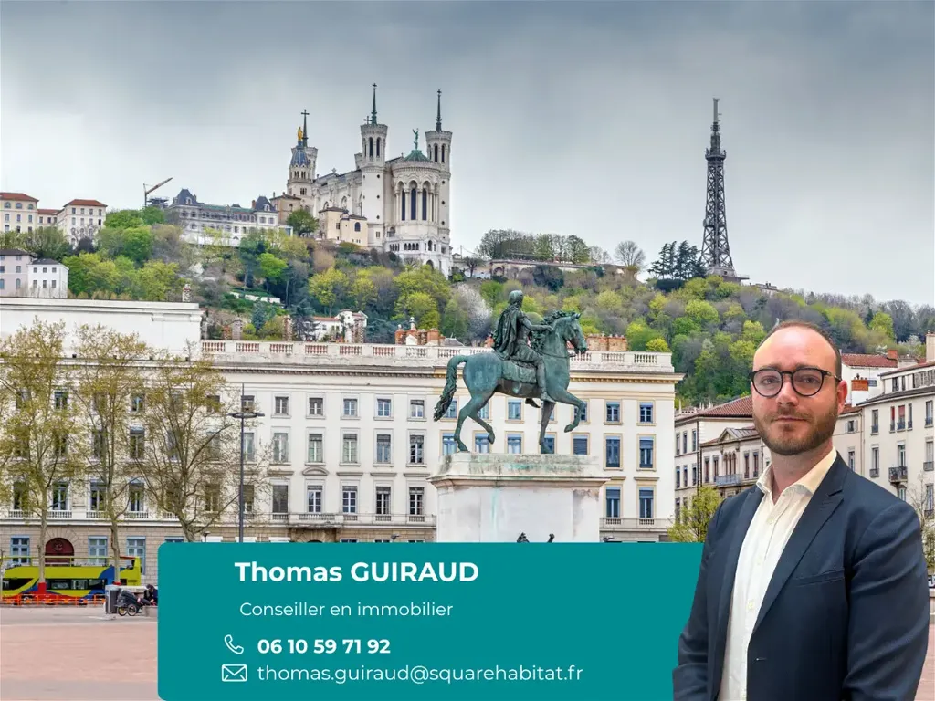 Renovated 1-Bed Flat with West View in Lyon