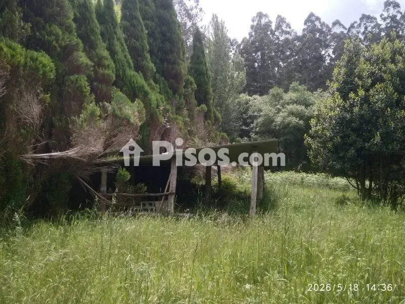 Jardín - Casa rural con jardín en Cedeira, A Coruña