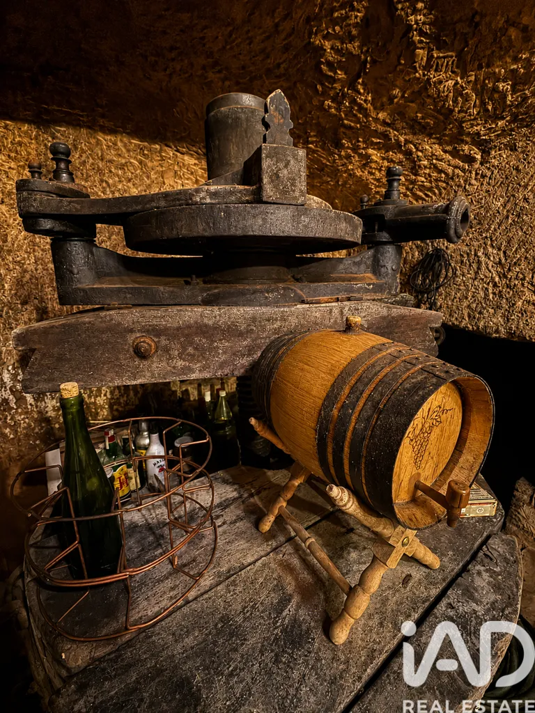 Pièces - Authentic Bodega in Villagallegos, Valdevimbre