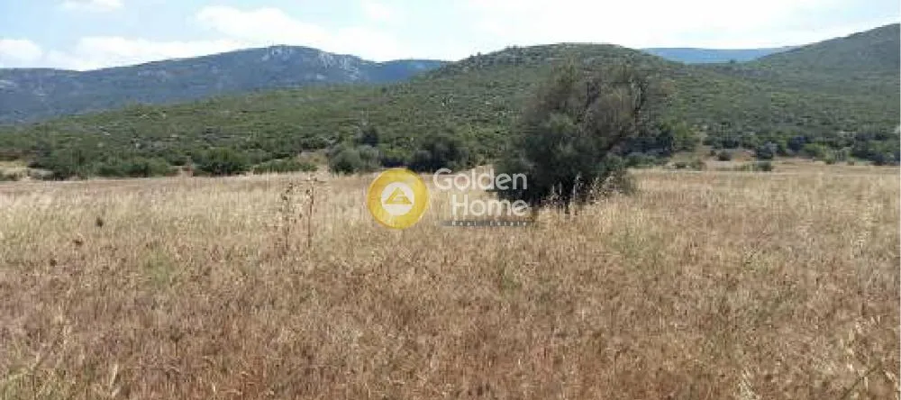 Terrain à GR