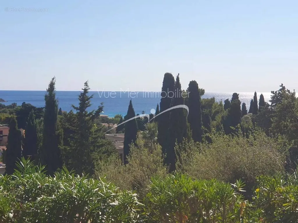 Studio with Sea View in Saint-Clair