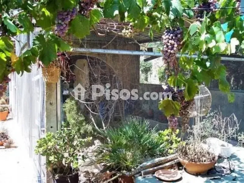 Giardino - Chalet with Mountain Views in Ròtova