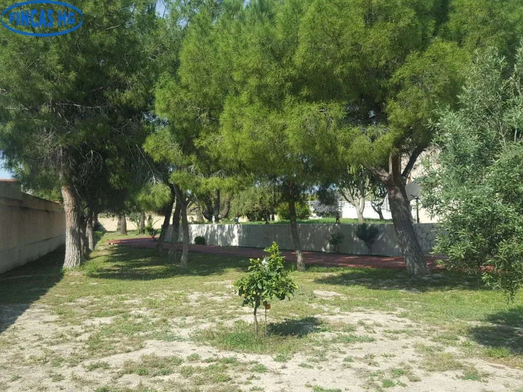 Jardin - Luxury Villa with Pool in Alicante