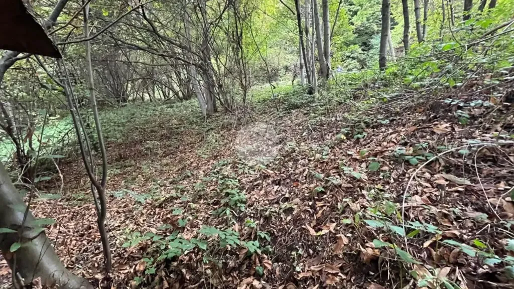 Jardin - Rustic Property with Forest Land in Bagnolo Piemonte