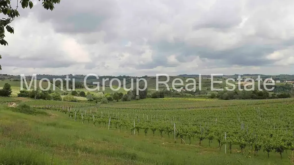 Jardin - Rustic Farmhouse with Vineyard View in Strevi