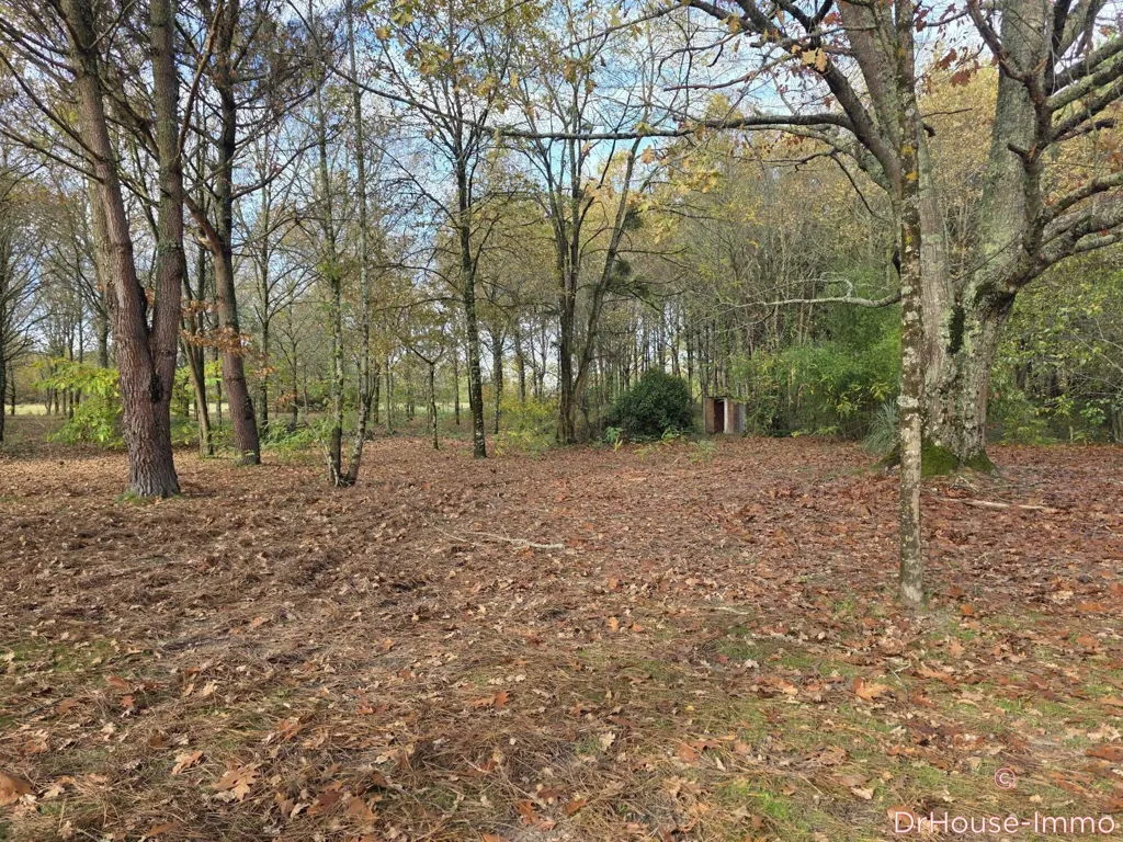 Aed - Country House with Extensive Garden in Sendets