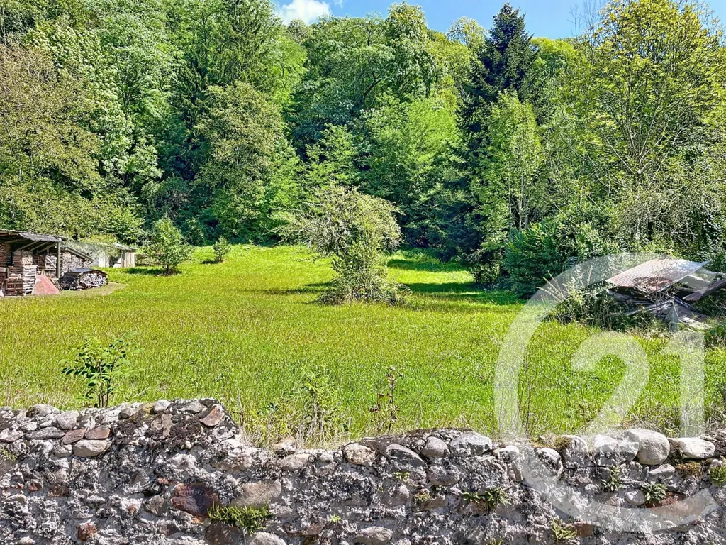 Aed - Stone House with Garden in Aleu, Couserans