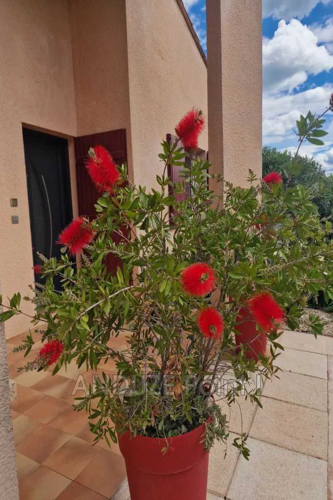 Terrasse - Villa Luxueuse avec Piscine à Anduze
