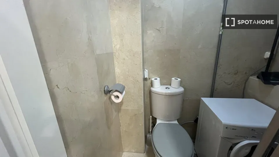 Vannitoad - Furnished Studio in Universidad, Madrid