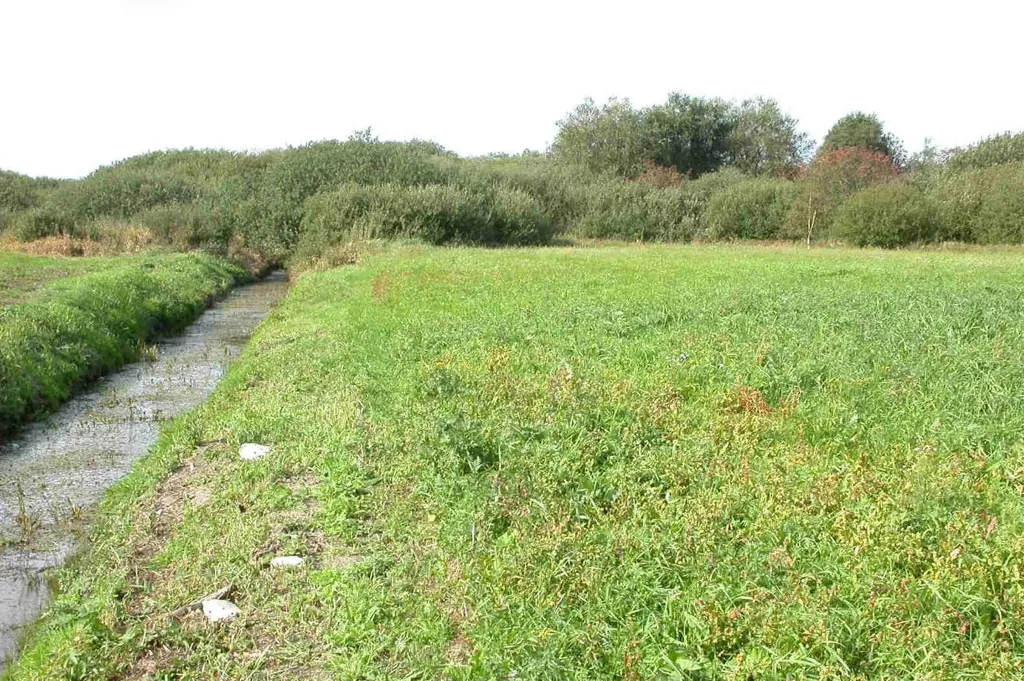 Aed - Year-Round Plot with 5G Coverage in Ringkøbing