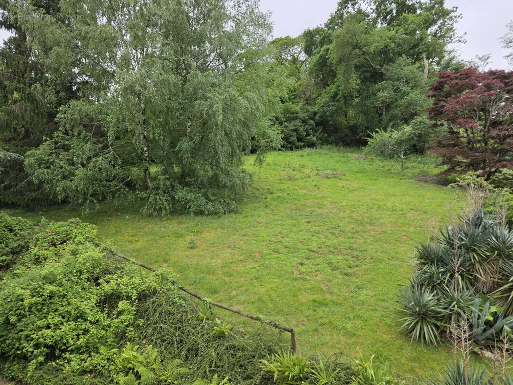 Aed - Luxury House with Pool in Cambo-les-Bains