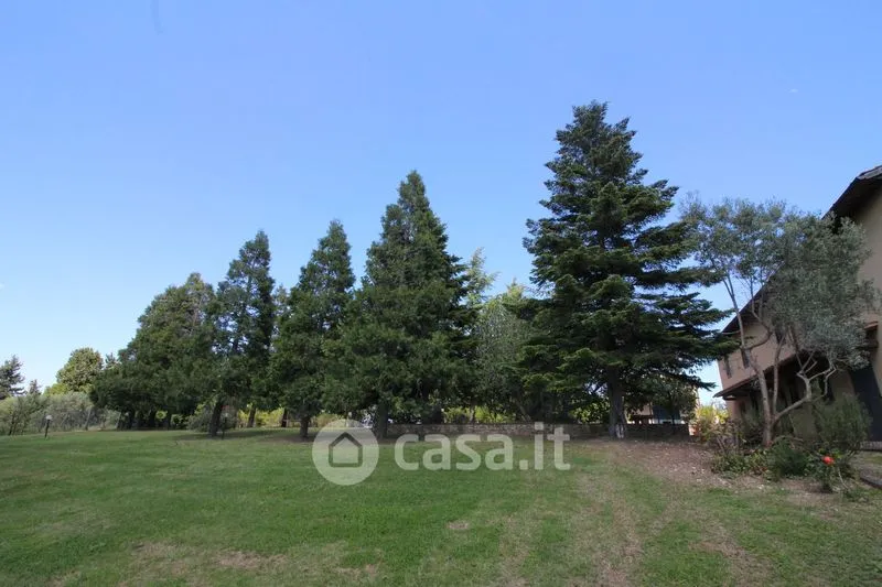 Garden - Rustic Agriturismo with Pool in Montespertoli