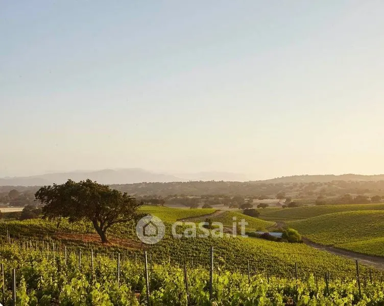 Jardin - Chianti Farmhouse with Vineyard and Pool in Greve