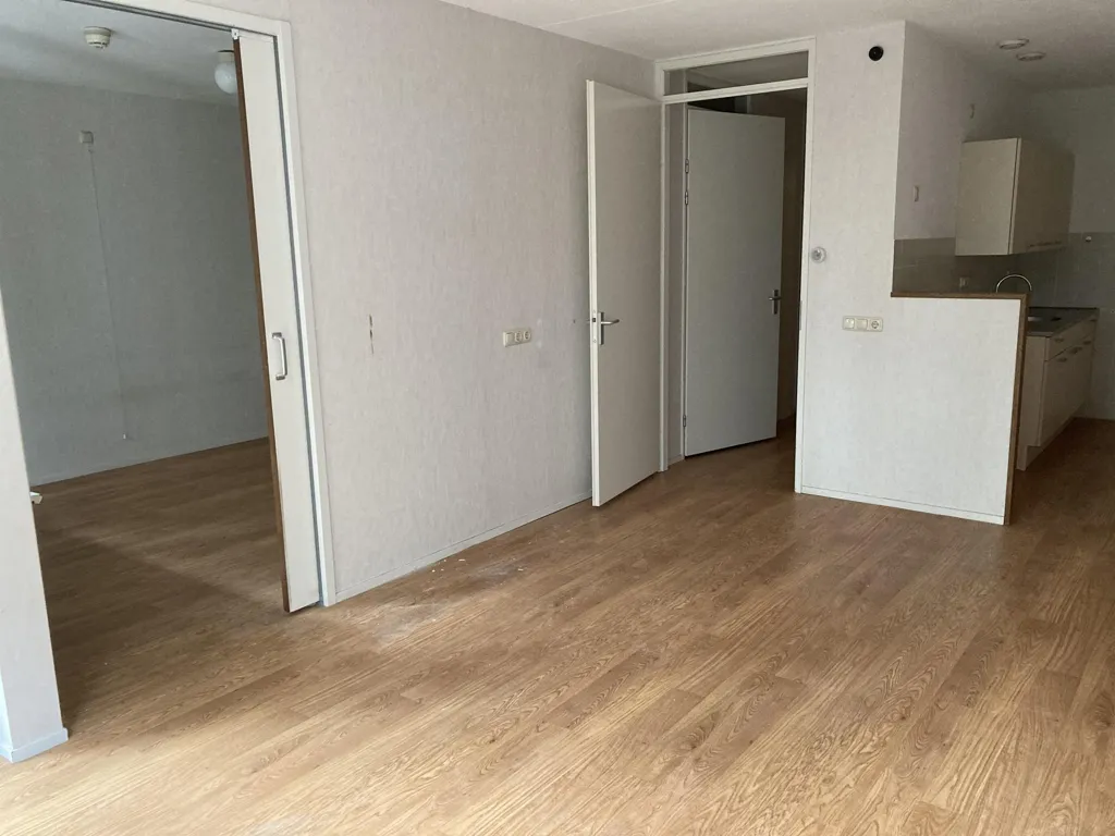 Toad - 3-Bedroom Portiekflat in Sperwerlaan