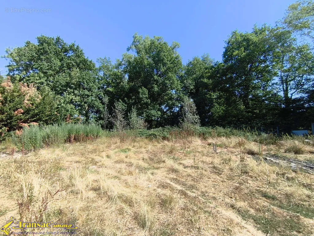 Giardino - Constructible Plot with Garden in Orléat